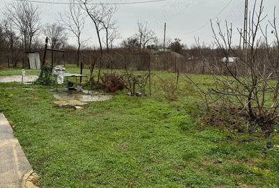 Vand casa la tara - 4