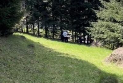 Teren de 26000 mp, în Dealu Negru - 2