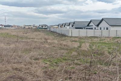 Teren Construcții de 7032 mp, în Berceni - 10