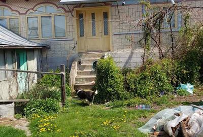 Casă cu 4 camere cu Teren 534 Mp în Chiojdu - 3