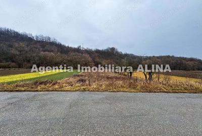 Teren extravilan 2.946 mp, situat in Satul Carjiti din Comuna Carjiti, Judetul Hunedoara. - 3