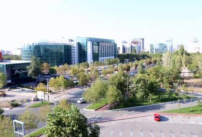 Birou, de 60 mp, în Octavian Goga - 9