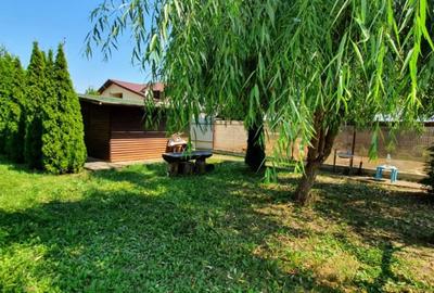 Teren de 1381 mp, în Cocorăștii Colț - 4