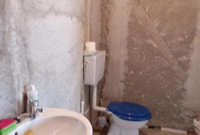 Casă cu 3 camere cu Teren 1860 Mp în Voluntari - 4