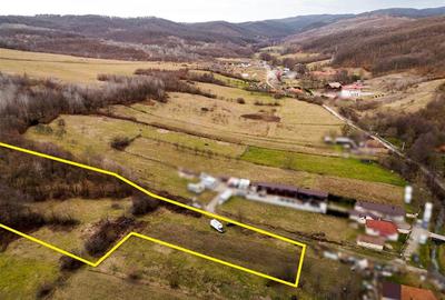 Teren intravilan de 7465 mp, în Peștiș - 2