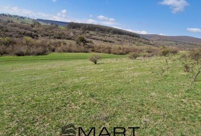 Teren extravilan 16420 mp | Sibiu - Daia - 4