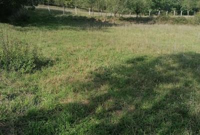 Teren de 4200 mp, în Boholt - 3