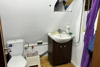 Casa cu teren generos – Varlaam, Adunatii Copaceni - 7