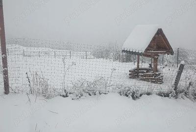 Casă cu 4 camere cu Teren 2500 Mp în Central - 8