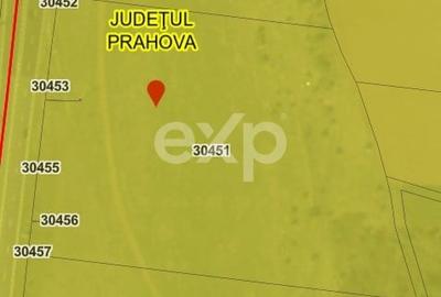 Teren agricol extravilan de 18577 mp, în Băicoi - 2