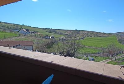 Casă individuală cu 5 camere cu Garaj în Aroneanu - 8