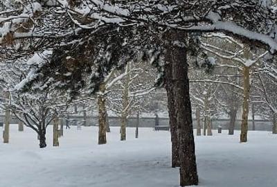 Apartament cu 3 camere semidecomandat în Titan - 13