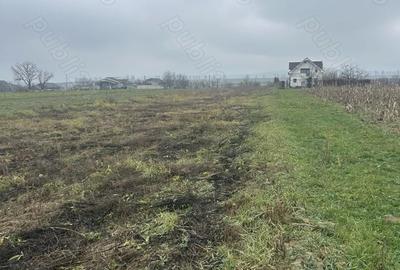 Teren de 2600 mp, în Alparea - 2
