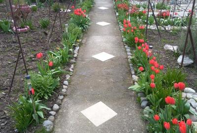 Casă în Berecuța - 5