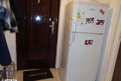 Apartament cu 2 camere în Șega - 16