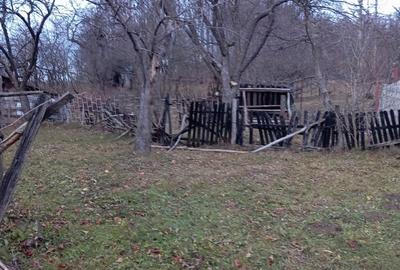 Teren de 2000 mp, în Ocina de Sus - 4