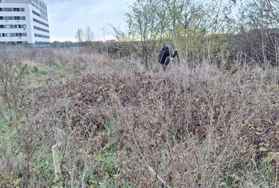 De Vanzare Teren intravilan  Oras Bragadiru Str Ierni - 4