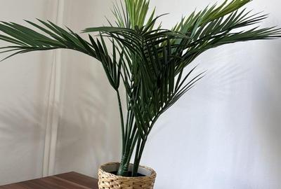 Garsonieră decomandată, mobilată în Vitan - 11