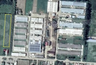 Teren de 4000 mp, în Careiului - 1