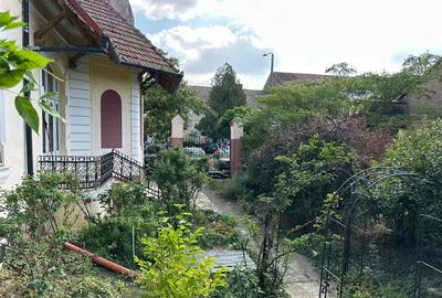 Casă cu 6 camere cu Teren 5000 Mp în Central - 18