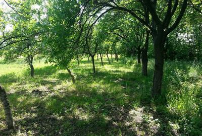 Teren de 1443 mp, în Exterior Vest - 3