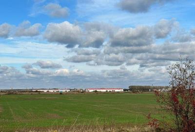 Teren industrial 40.000 mp Sanandrei, Timi?, cu acces direct la DN69 si nod A1 - 3