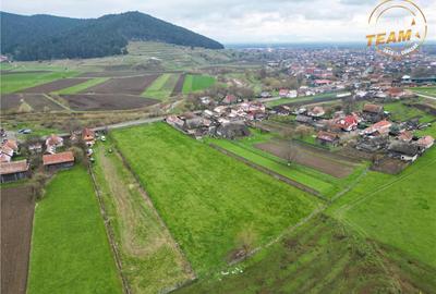 FILM!Potential rezidential investitional: 8.000 mp intravil - 1