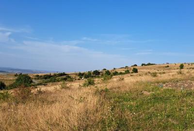 Oferta de vanzare teren intravilan, 648 mp., Chinteni, 17500 euro - 2