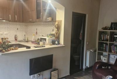 Doua apartamente 2/3 camere in vila Zona Sebastian-Vulcan - 3