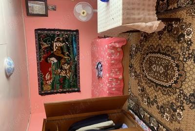 Casa de vanzare Epureni - 13