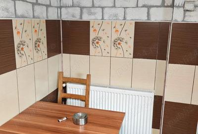 Casă în Cermei - 2