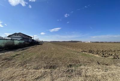 Domnesti, Teghes, teren in suprafata de 21278mp, deschidere 41ml, gaz si curent. - 2