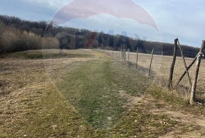 Teren agricol intravilan de 2592 mp, în Lipoveni - 16