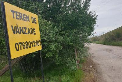 Teren de 1000 mp, în Ișalnița - 1