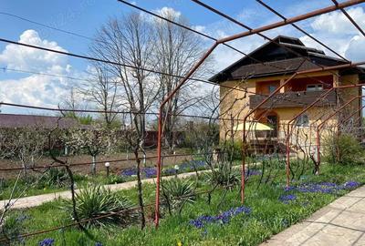 Casă cu 9 camere cu Teren 1500 Mp în Ceacu - 7