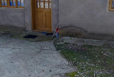 Casă cu 5 camere cu Teren 3000 Mp în Salcia - 5