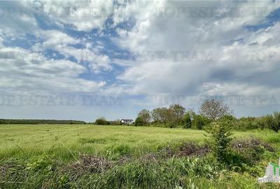 Teren Construcții intravilan de 2581.4699707031 mp, în Găneasa - 3