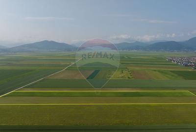 Teren 42,000mp Tarlungeni / Strada Izvor - 5