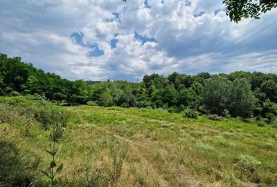 Spațiu comercial, în Slănic - 6