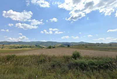 Teren de 3700 mp, în Dalboșeț - 3