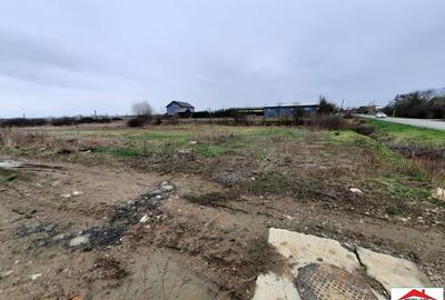 Teren de 12216 mp, în Vetiș - 4