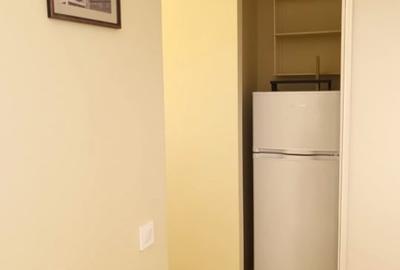 APARTAMENT CU O CAMERA - ZONA BIG BELLY - PRIMA INCHIRIERE! - 13