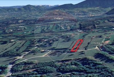 Teren Construcții intravilan de 4223 mp, în Tohănița - 20