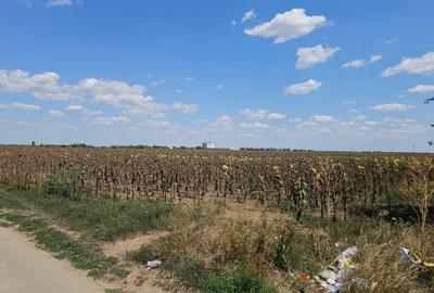 Teren Construcții intravilan de 33000 mp, în Exterior Sud - 5