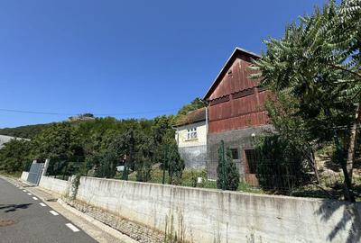 De vanzare Casa cu teren 3500MP in Sabisa/Maramures - 5