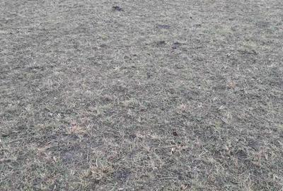 Teren de 4488 mp, în Pângărați - 3