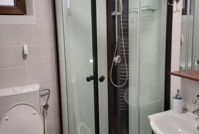 Casă cu 4 camere în Lepșa - 1