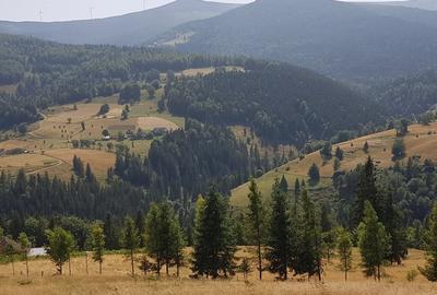 Teren Construcții extravilan de 7200 mp, în Arieșeni - 2