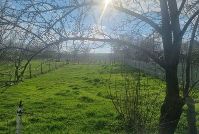 Spațiu comercial, în Rusenii Noi - 1