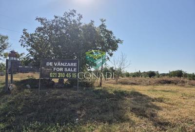 Teren Pantelimon - 25.000 mp - 5